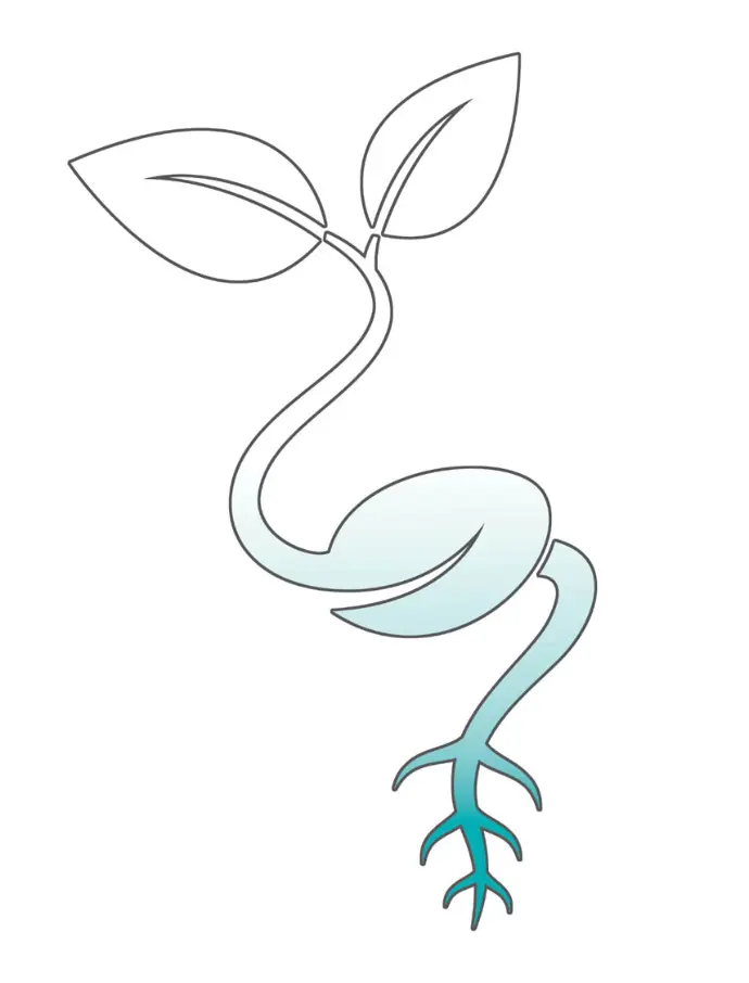 sotrytelling assistante administrative